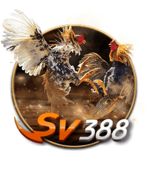 Cockfighting SV388