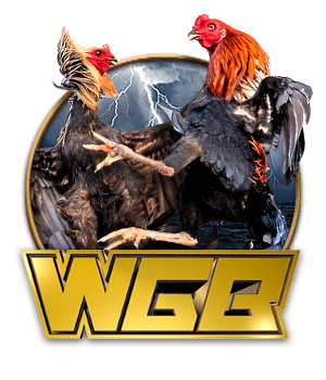 Cockfighting WGB
